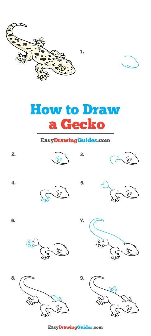 Idée de gecko 2 dessin
