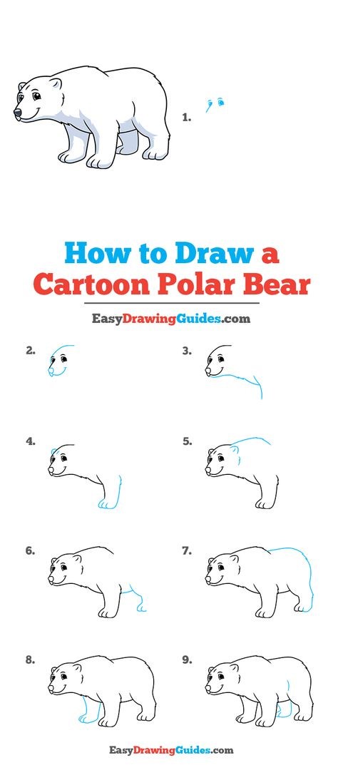 Idée ours polaire 2 dessin