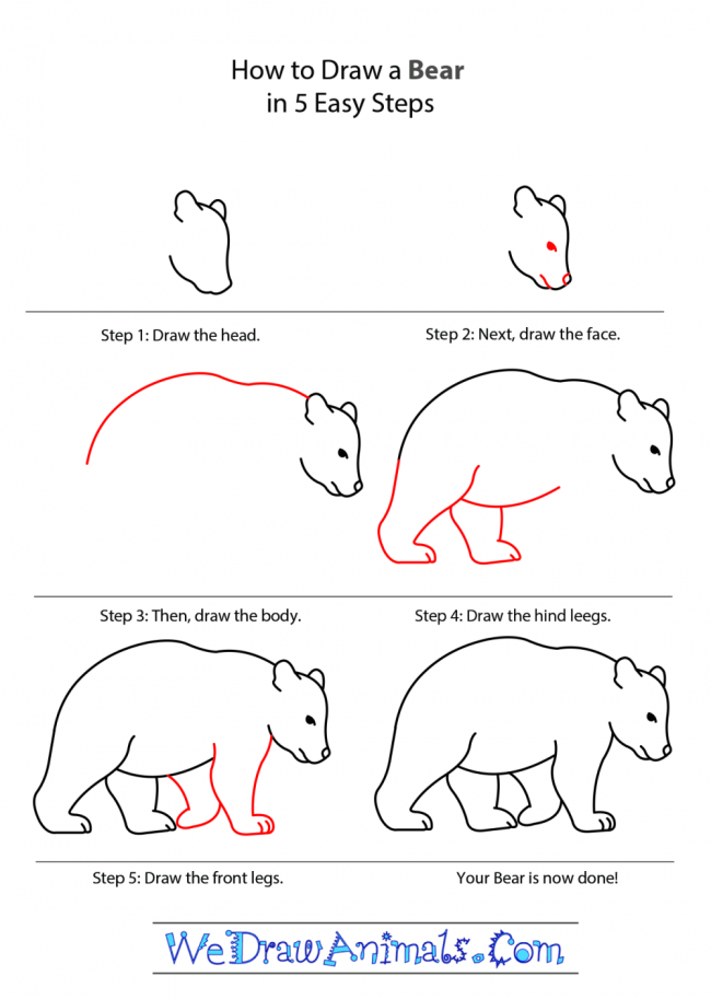 Idée ours polaire 4 dessin
