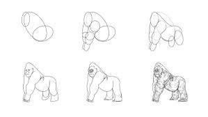 Idées de gorilles 6 dessin