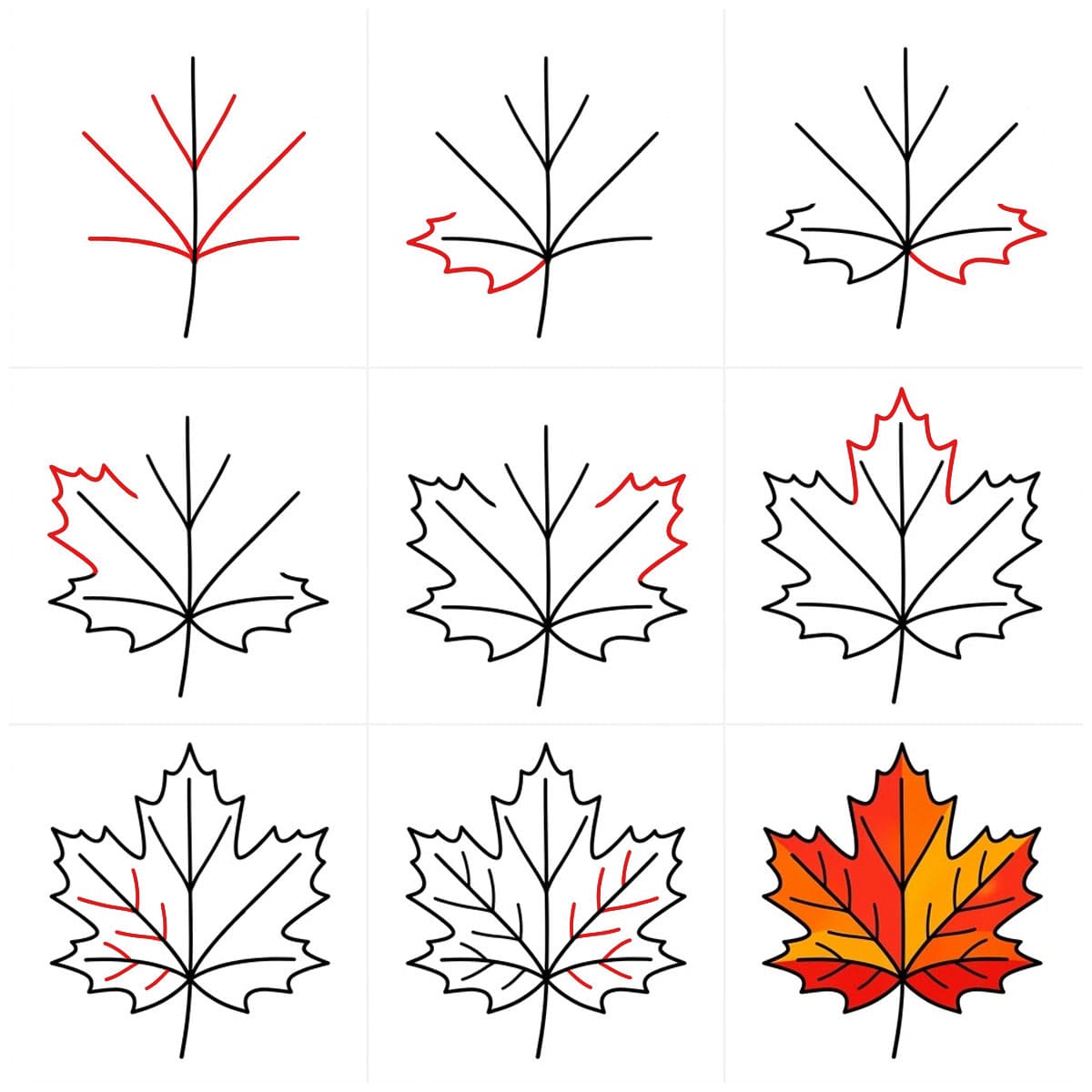 Image de feuille d'érable dessin