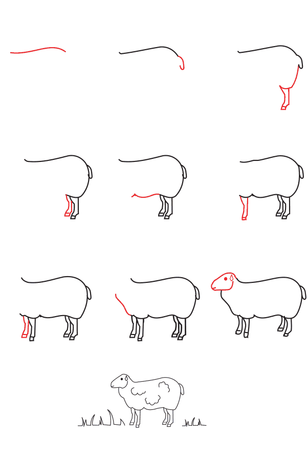 Mouton dessin