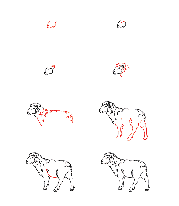 Mouton réaliste dessin