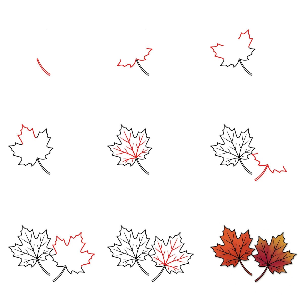 Paire de feuilles d'érable dessin