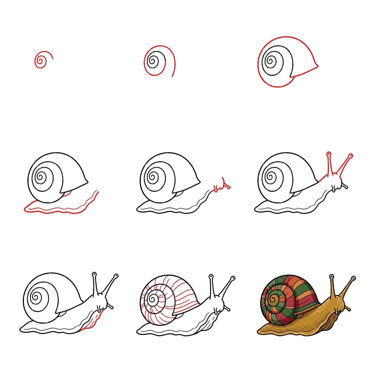 Petit escargot dessin