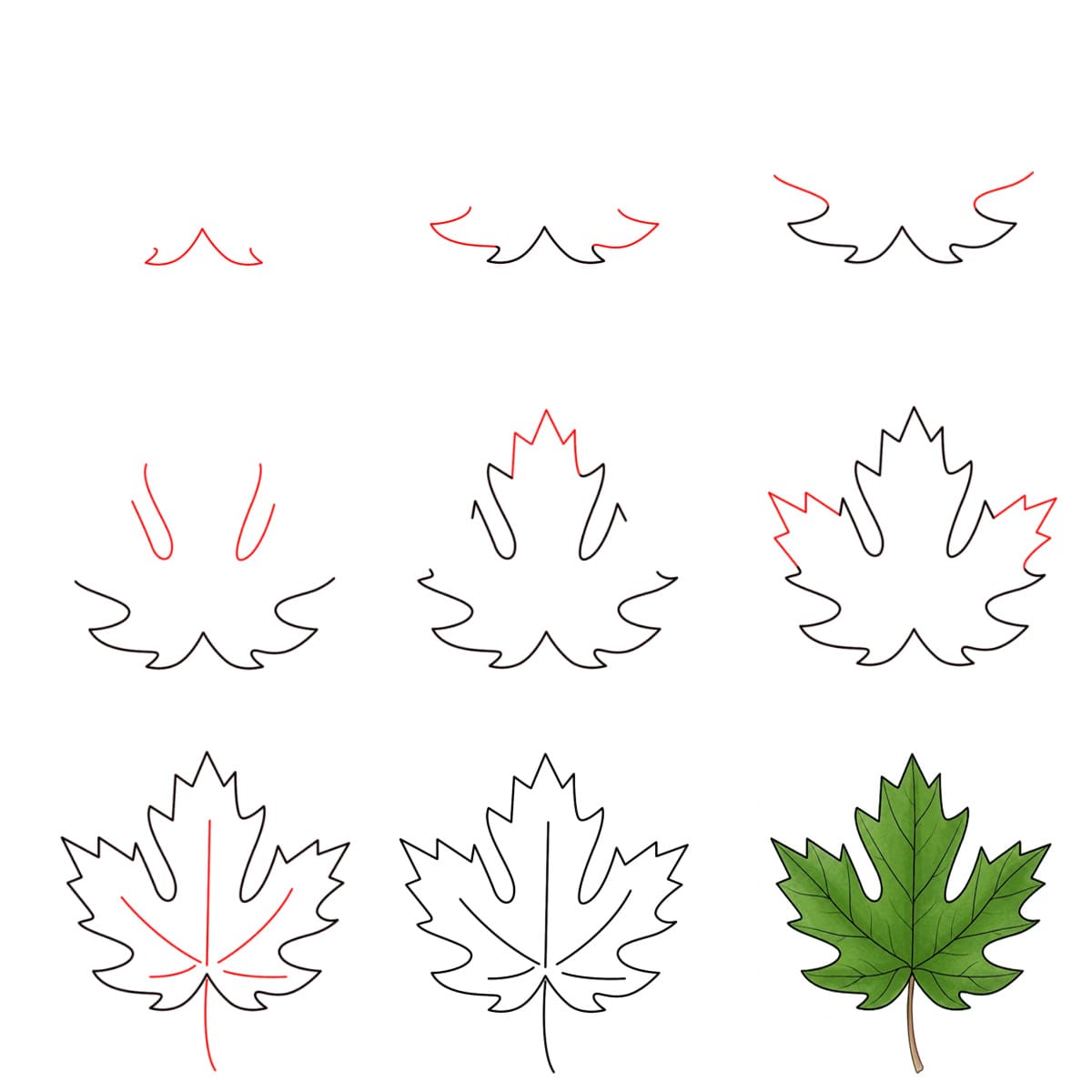 Simple Feuille d'érable dessin