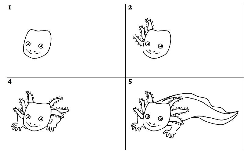The idea of Axolotl 7 dessin