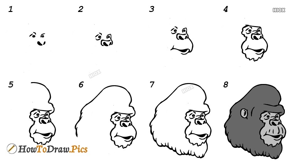 Tête de gorille dessin