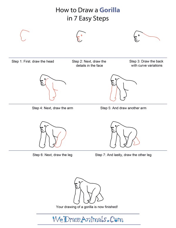 Un gorille détaillé étape par étape dessin