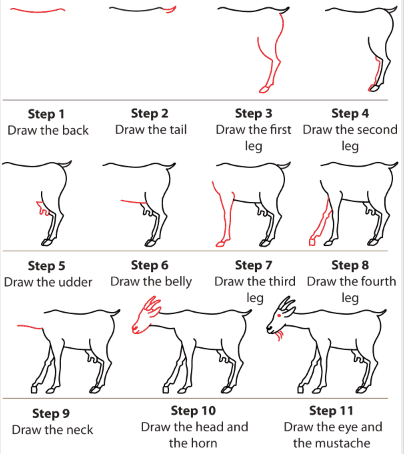 Une chèvre détaillée étape par étape dessin