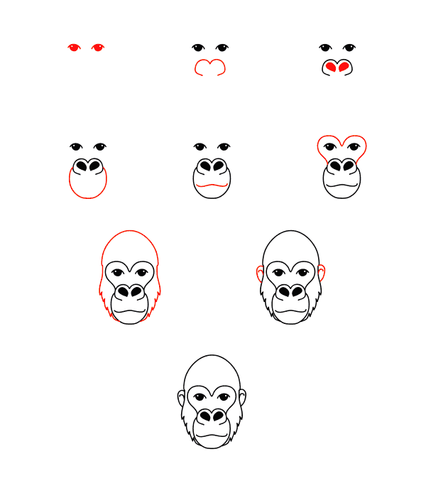 Visage de gorille dessin