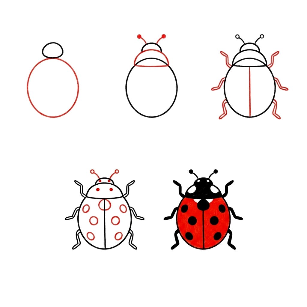 Adorable coccinelle dessin