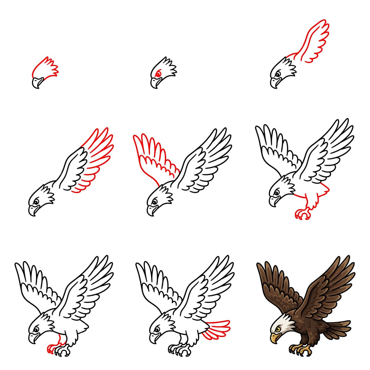 Aigle de chasse dessin