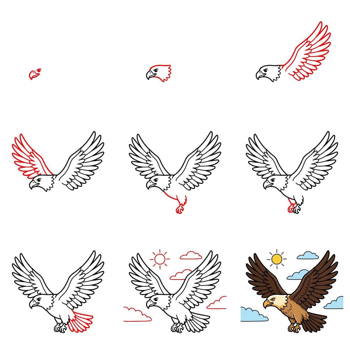 Aigle majestueux dessin
