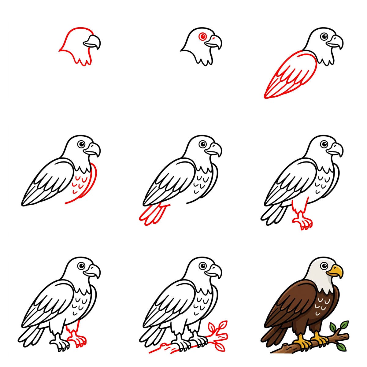 Aigle noble dessin