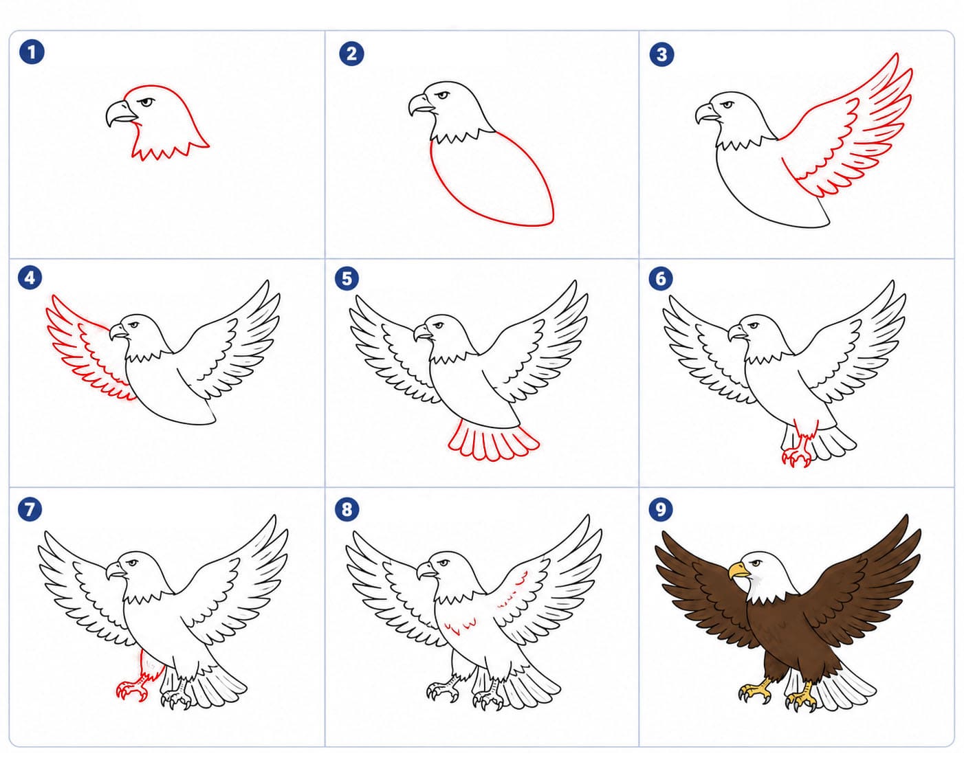 Aigle prêt à bondir dessin