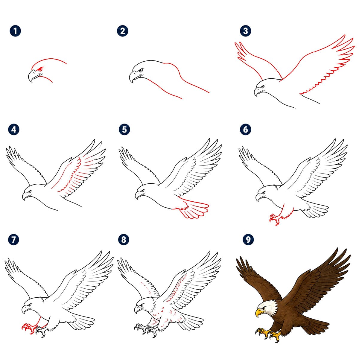 Aigle puissant dessin