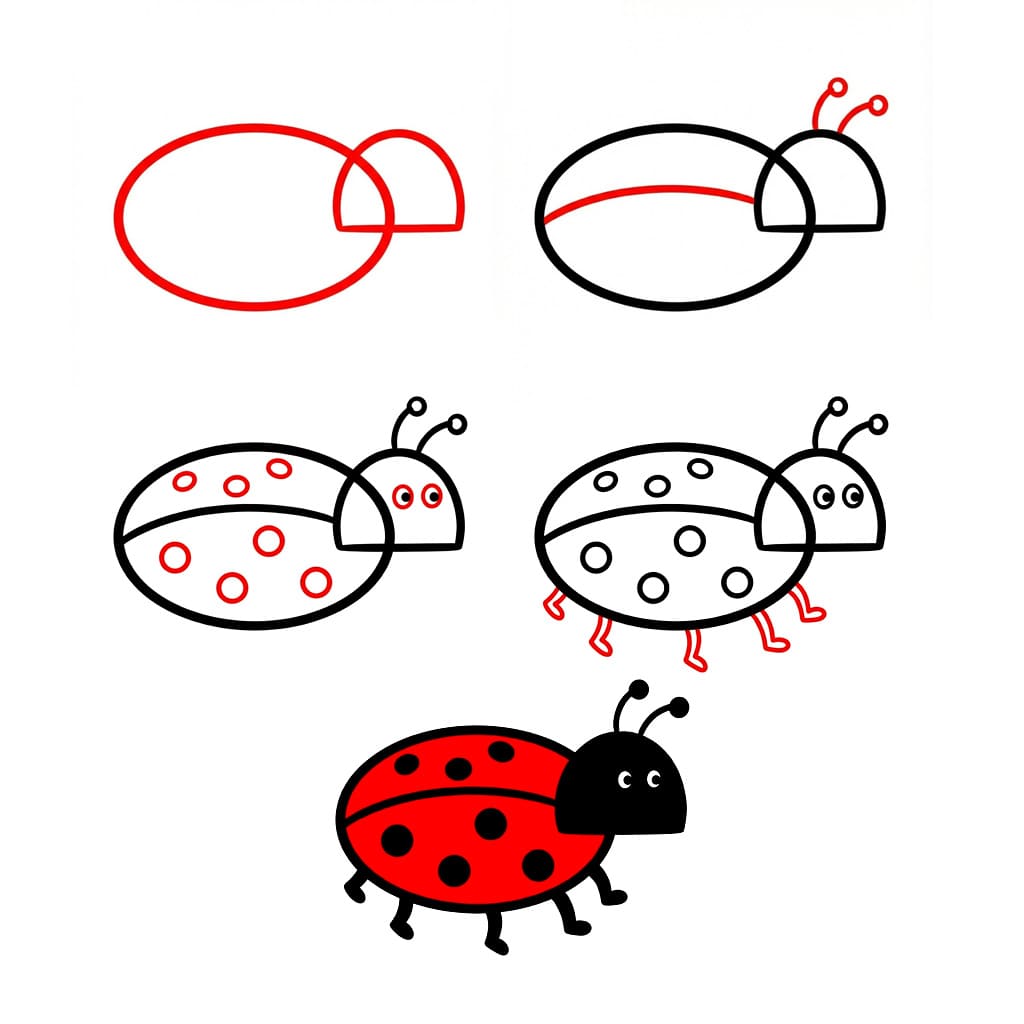 Coccinelle normale dessin