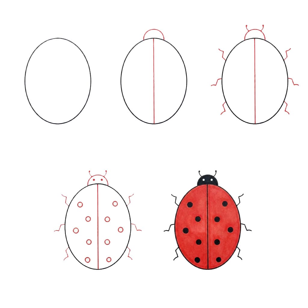 Coccinelle simple dessin