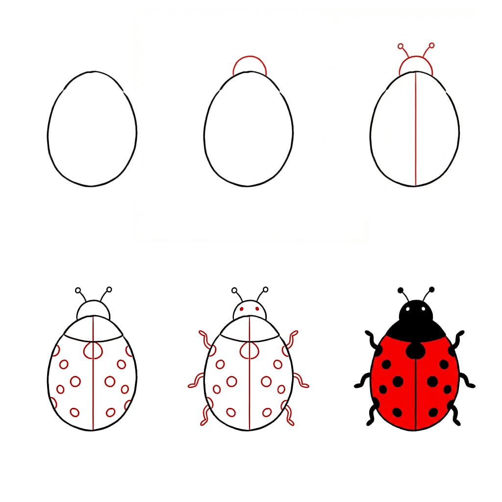 Dessiner une coccinelle dessin