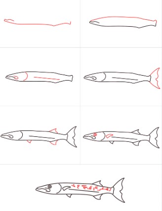 fish idea 20 dessin