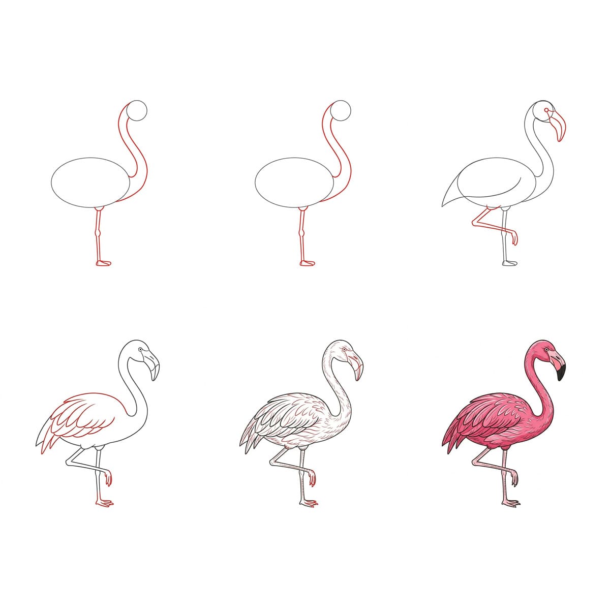 Flamant rose à la silhouette en S dessin