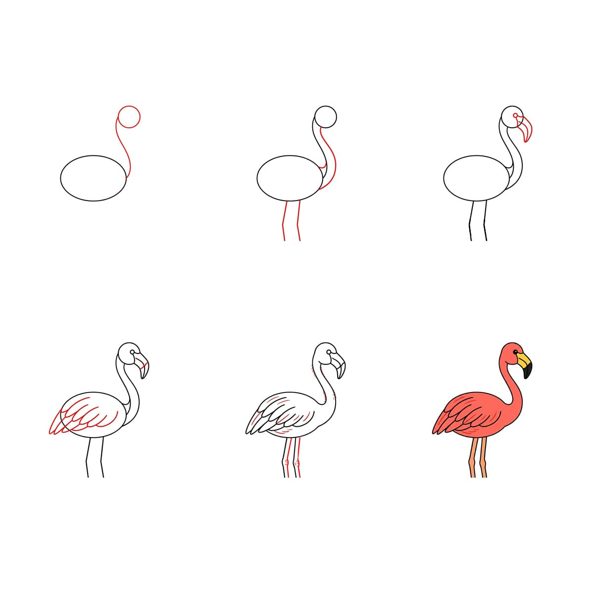 Flamant rose basique dessin