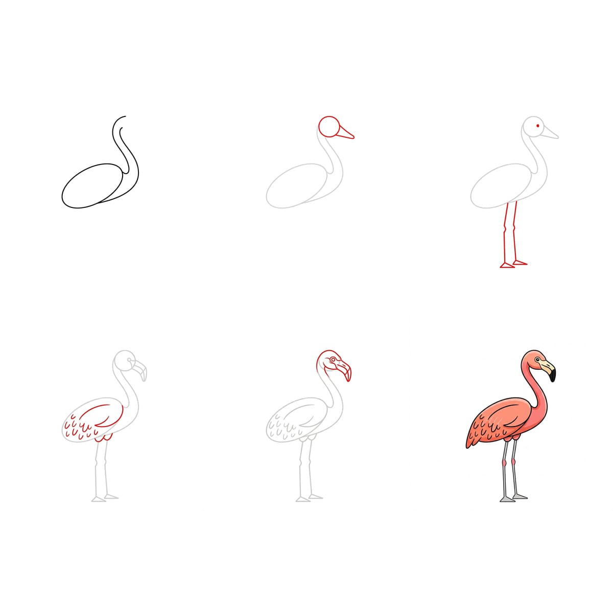 Flamant rose délicat dessin