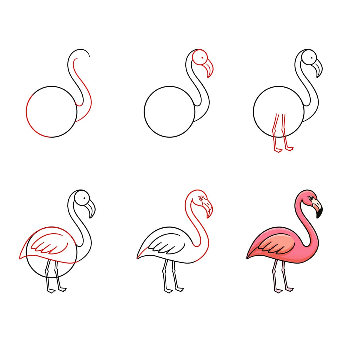 Flamant rose dodu dessin