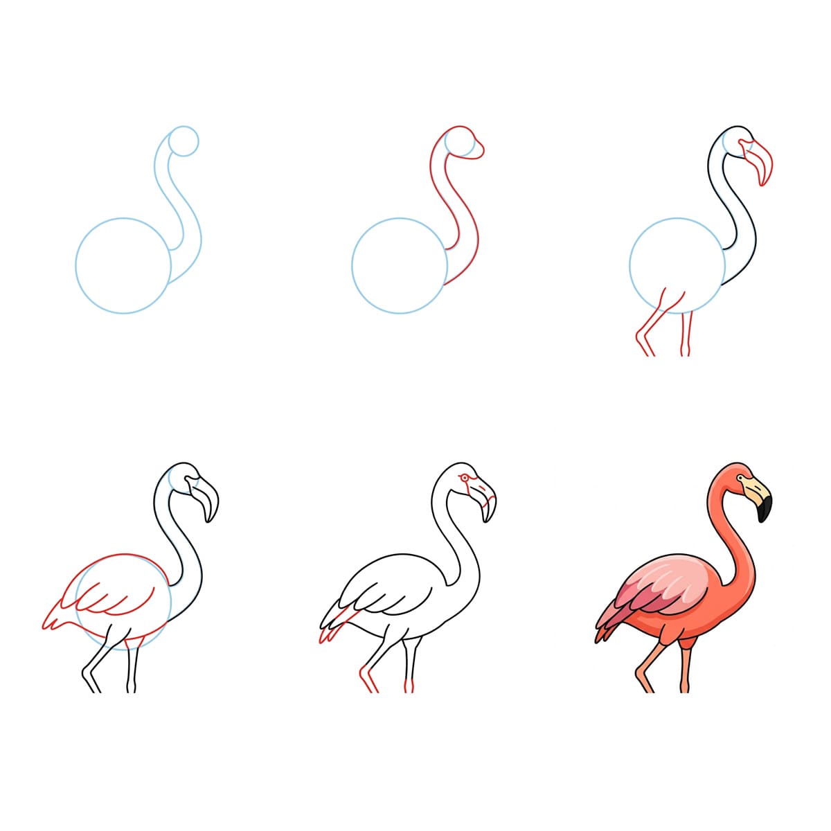 Flamant rose élancé dessin