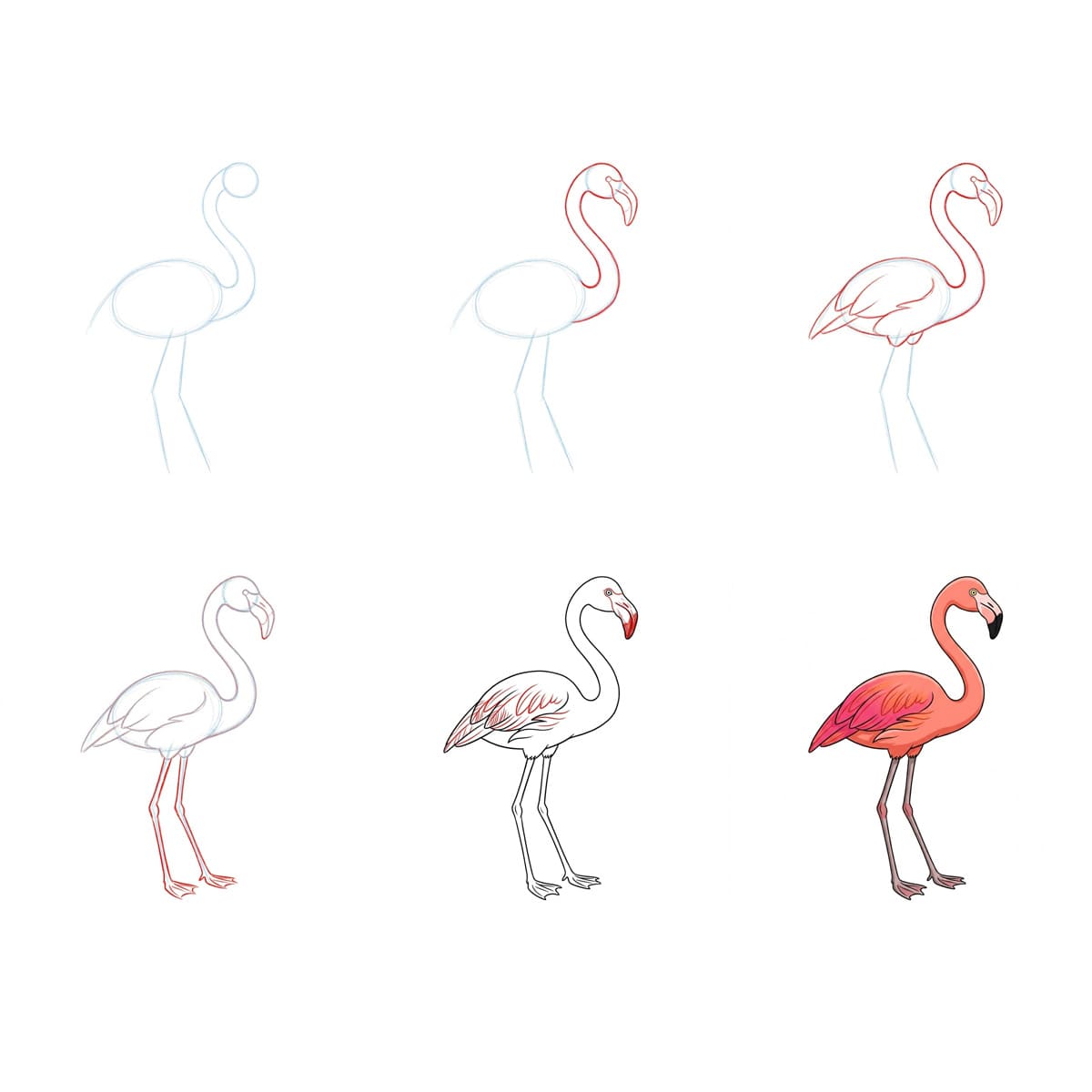 Flamant rose élégant dessin