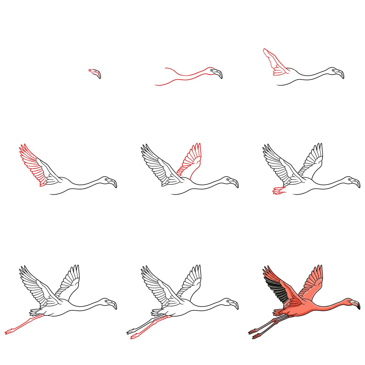 Flamant rose en vol dessin