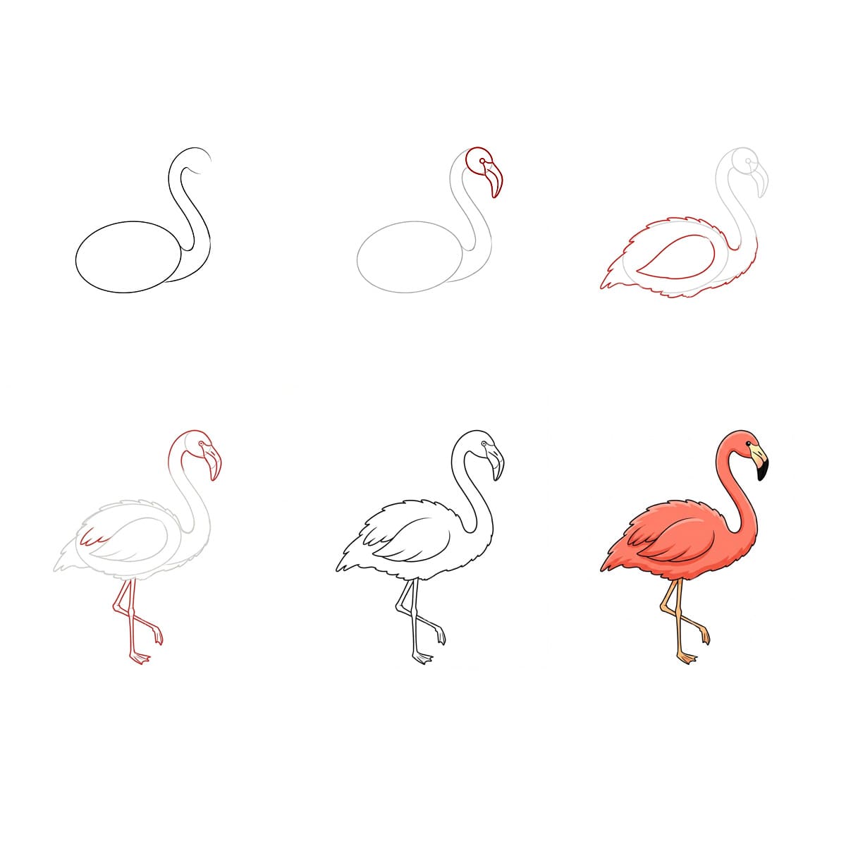 Flamant rose gracieux dessin
