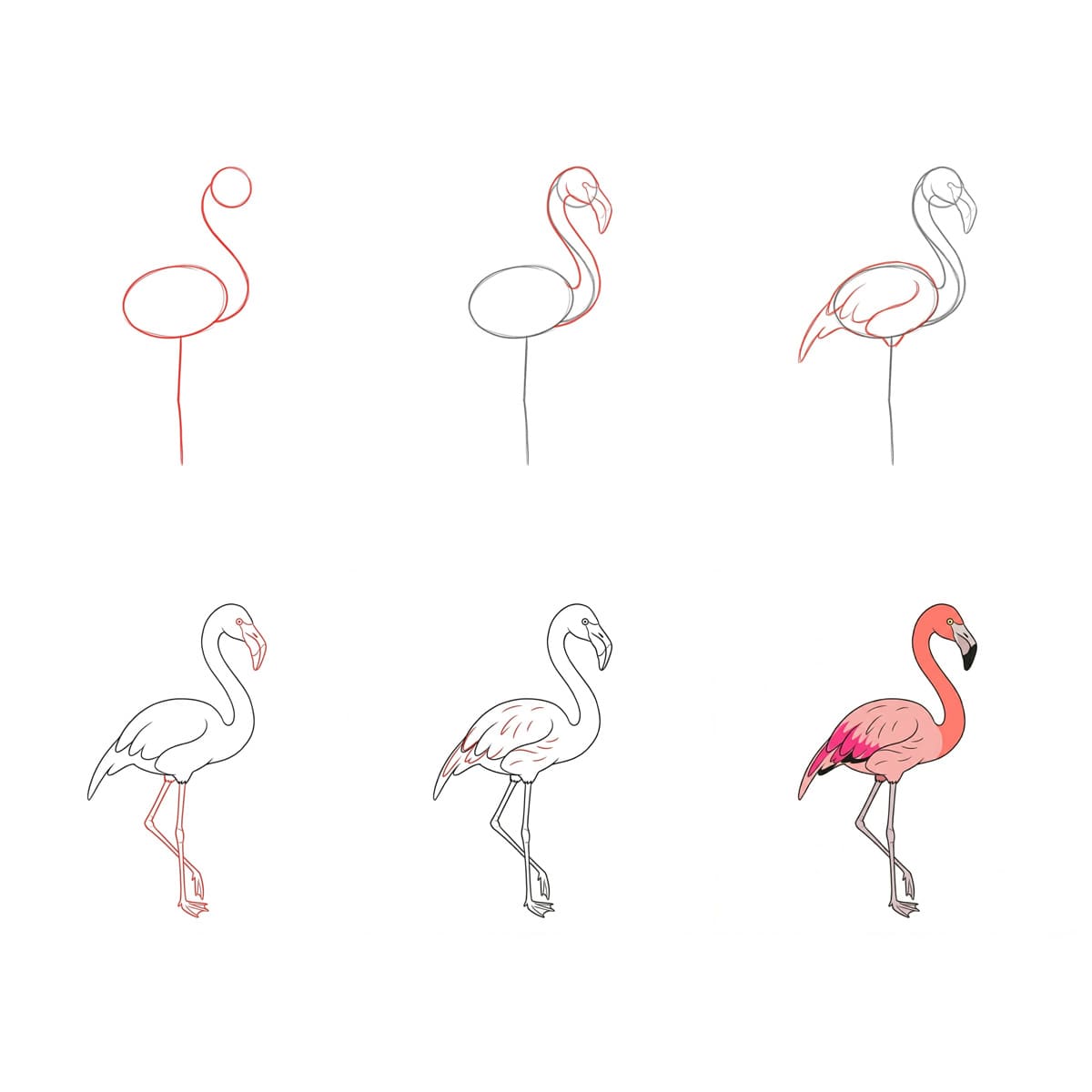 Flamant rose imposant dessin