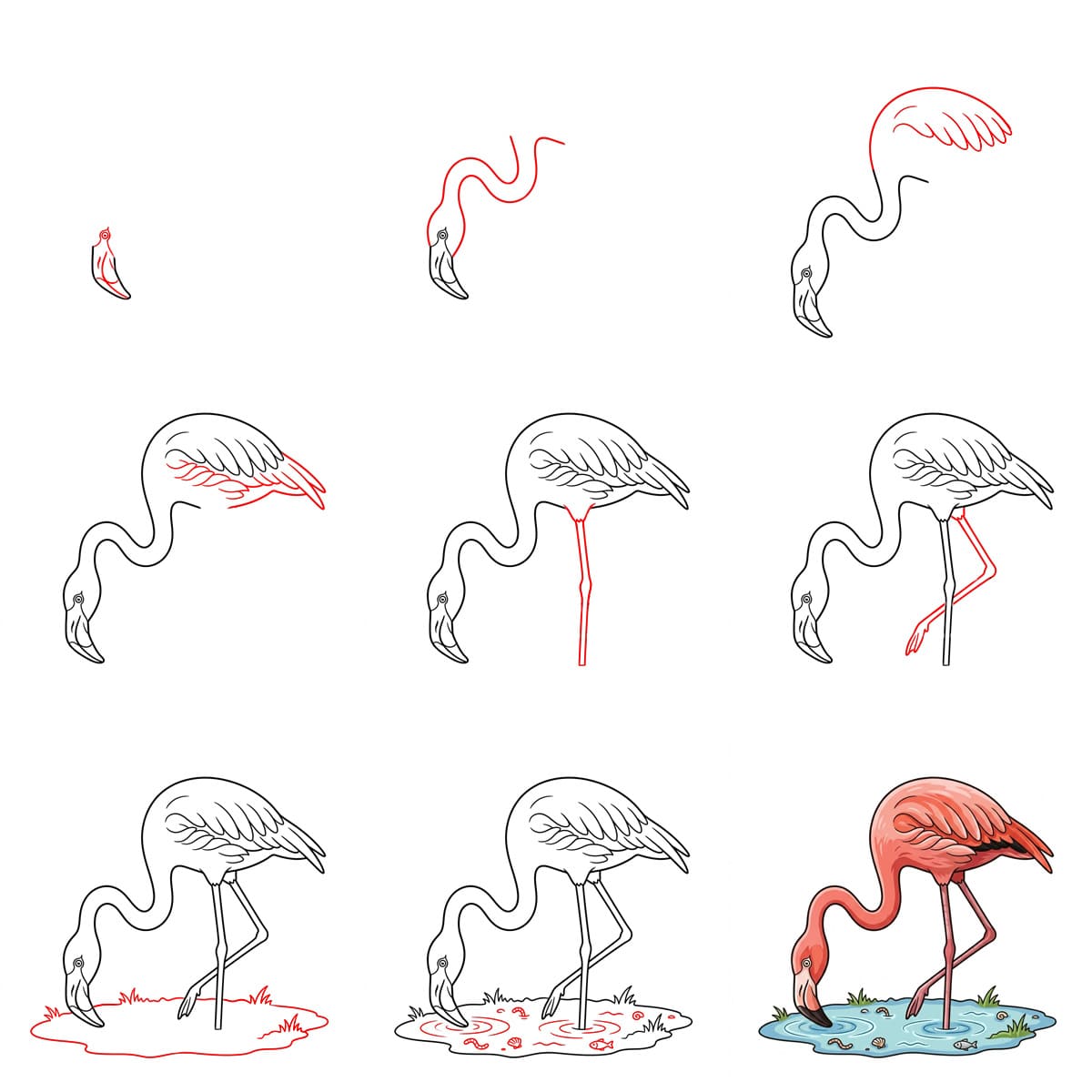 Flamant rose nourrissant dessin