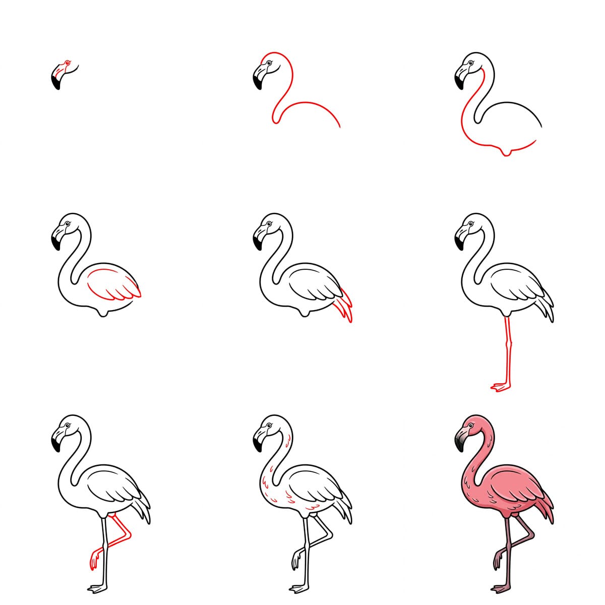 Flamant rose regardant en arrière dessin