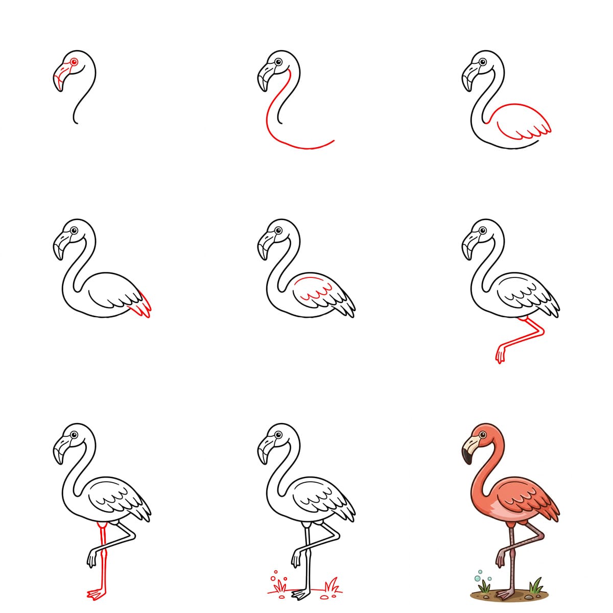 Flamant rose se lissant les plumes dessin