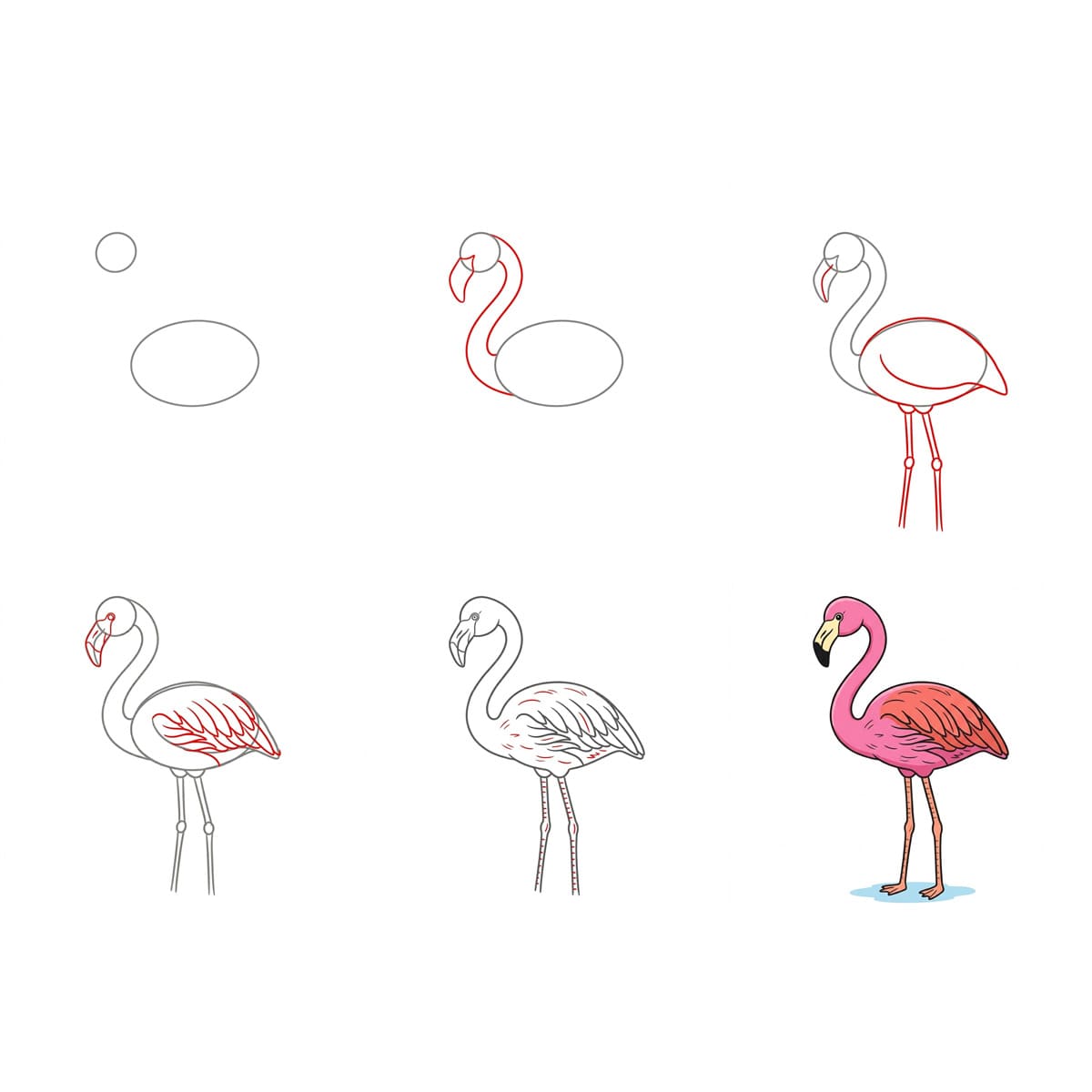 Flamant rose serein dessin