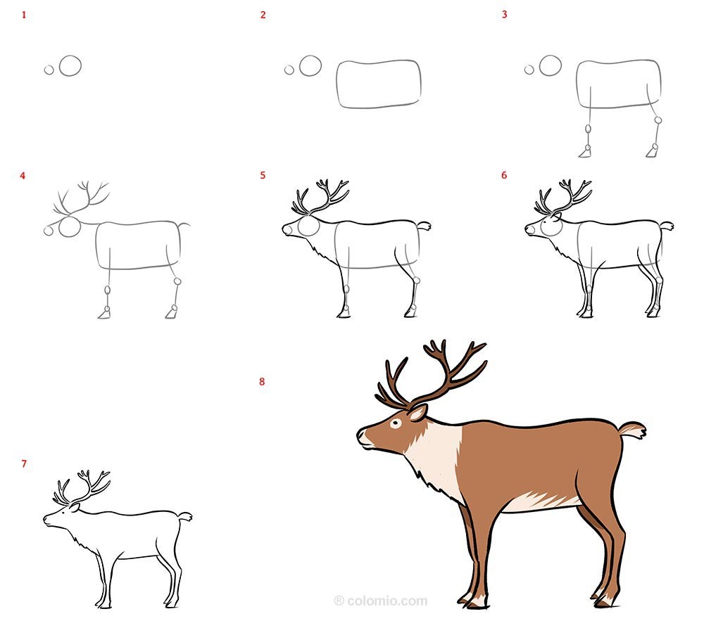 Idées de rennes 5 dessin