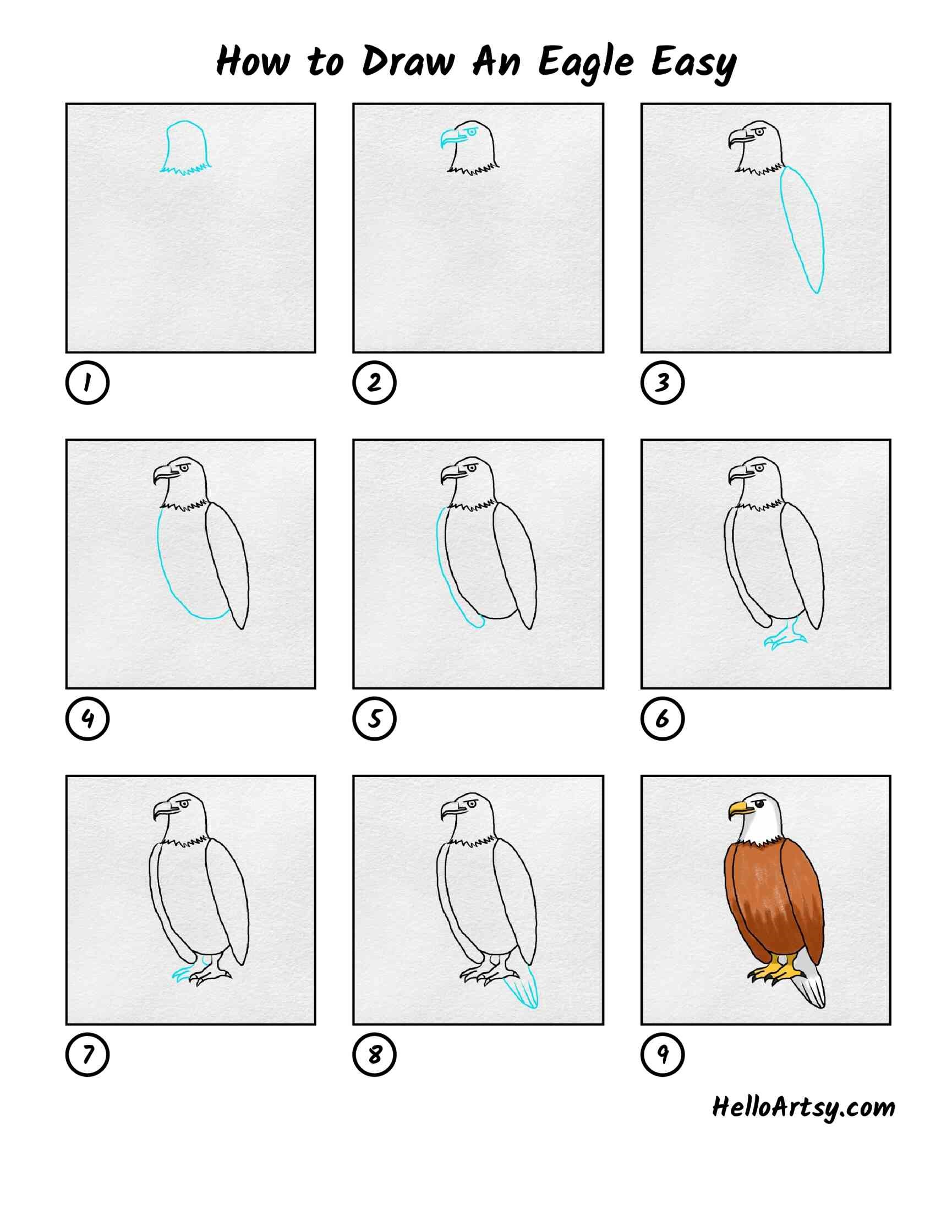 Idée d'aigle 3 dessin