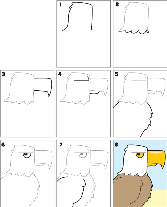 Idée d'aigle 6 dessin