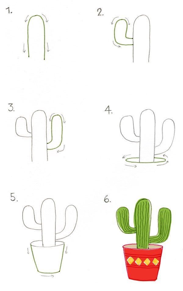 Cactus dessin