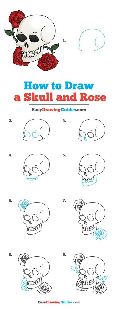 Idée de crâne 5 dessin