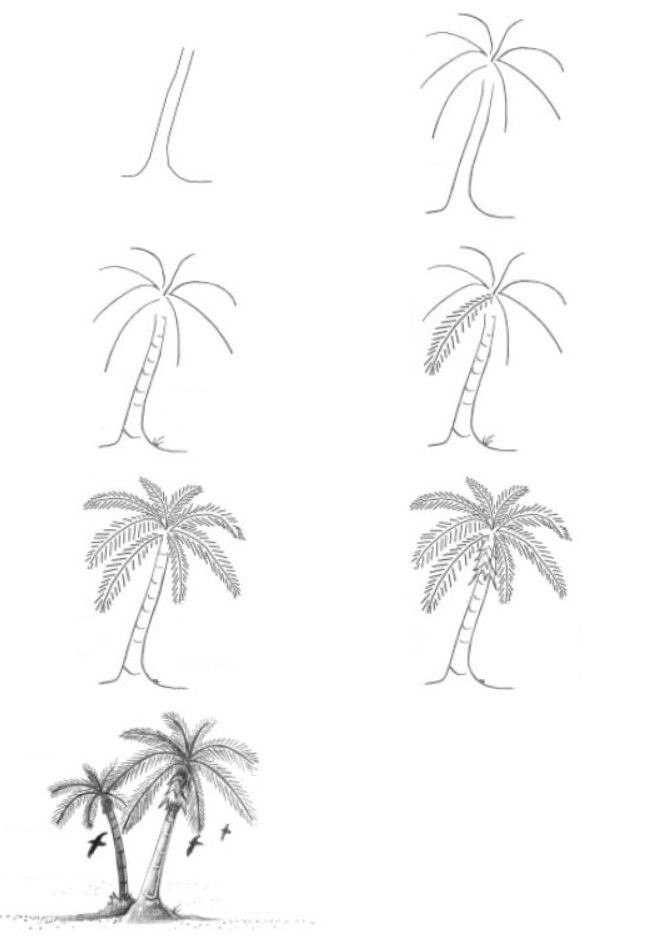Idée de palmier 5 dessin