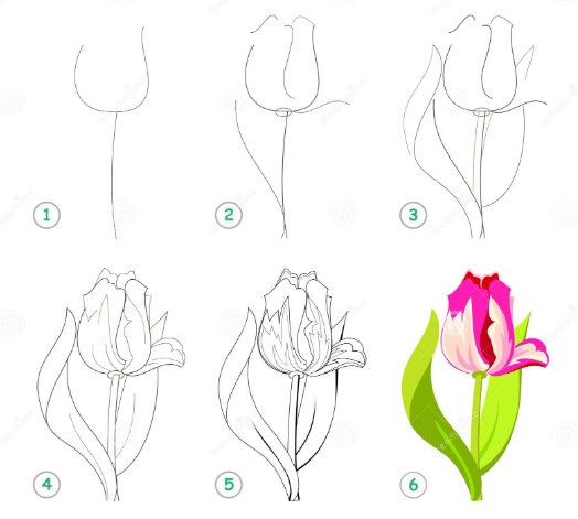 Idée tulipe 10 dessin