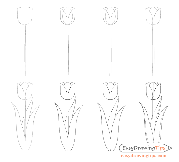 Idée tulipe 2 dessin