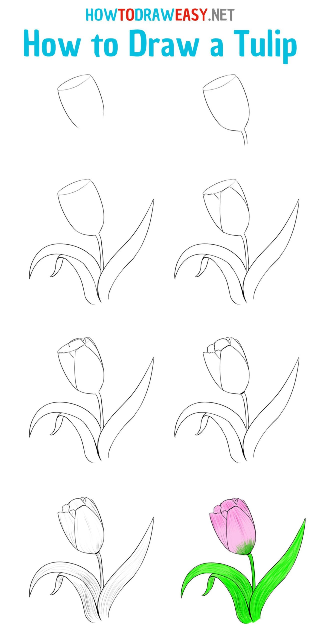 Idée tulipe 3 dessin