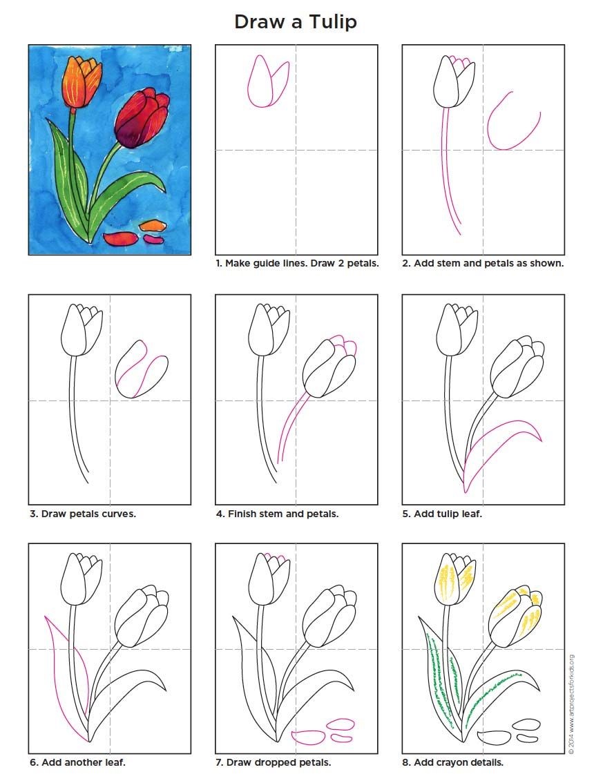 Idée tulipe 4 dessin