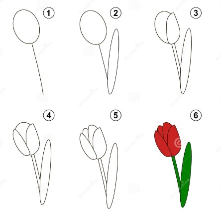 Idée tulipe 6 dessin