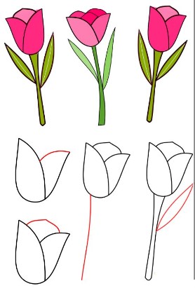 Idée tulipe 7 dessin